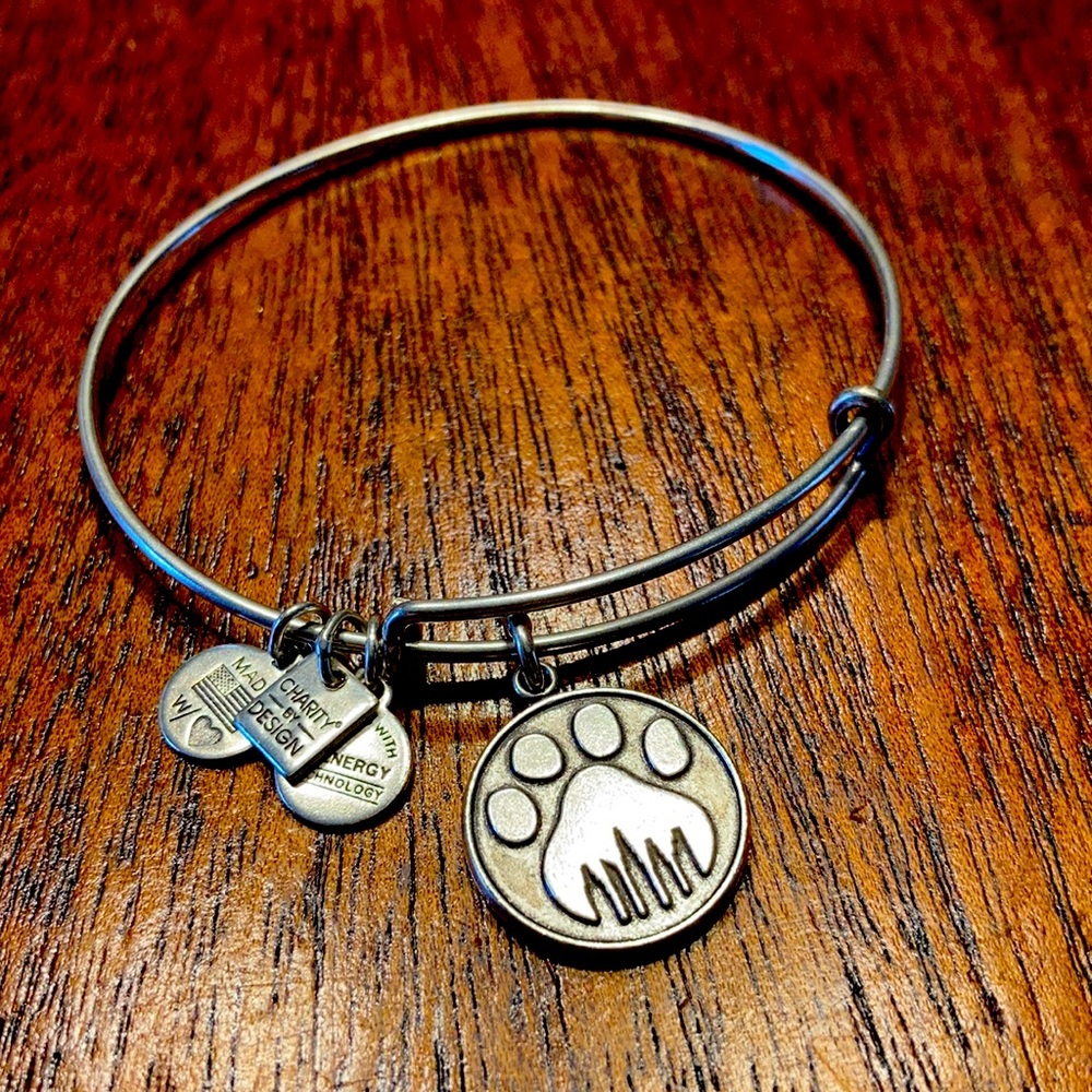 Alex and Ani silver bracelet